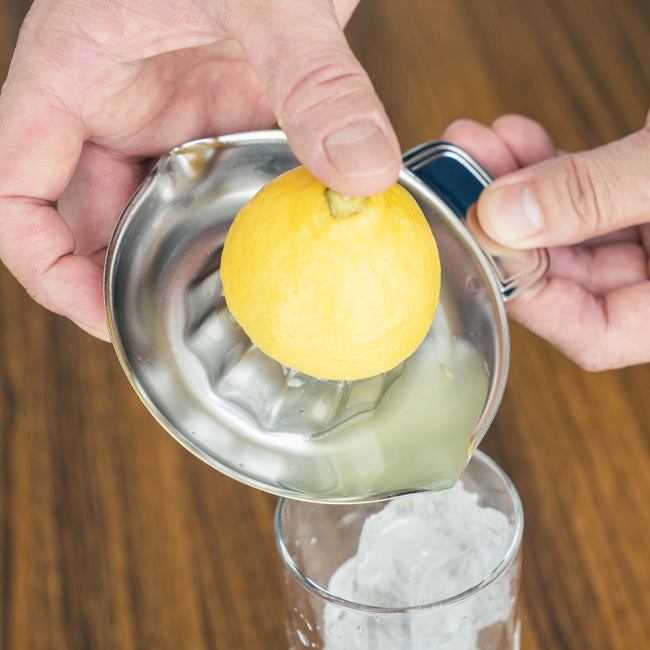 MJFLAIR Japan AOYOSHI 304 stainless steel squeezer juicer- small size