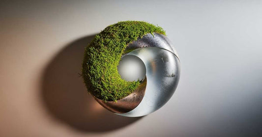 From Peatland Restoration to Recycled Aluminum